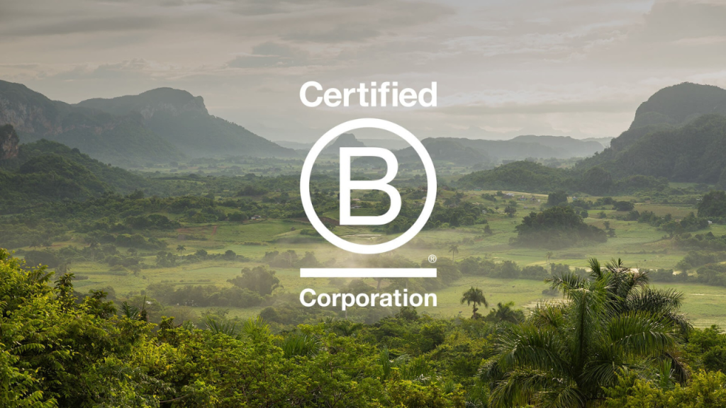 What does it mean for WHEB to be a B Corp?