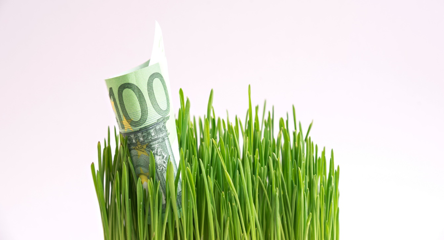 Greenwashing, regulation and sustainable investment